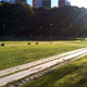 Image for article titled Shooting Challenge: Lens Flare Gallery Part One